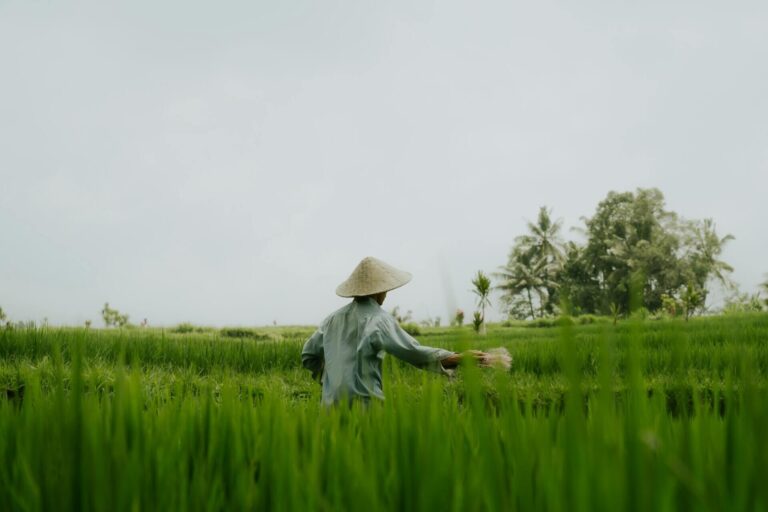 可持续发展